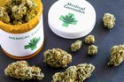 Alt om Forsøgsordningen for Medicinsk Cannabis