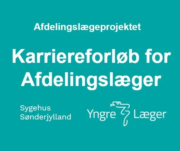 Afdelingslæger over hele landet kører lige nu et Afdelingslægeprojekt, der som forberedelse til næste overenskomst skal sætte fokus på afdelingslægernes faglige udvikling. På Sygehus Sønderjylland har vi valgt som en del af projektet at tilbyde et karriereforløb for afdelingslægerne på sygehuset. De…