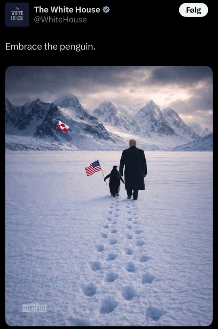 Det er simpelthen for dumt det her. Pingviner på Grønland? Trump har ikke engang sat sig ind i hvilket land Grønland er, før de beslutter sig for at ville overtage landet